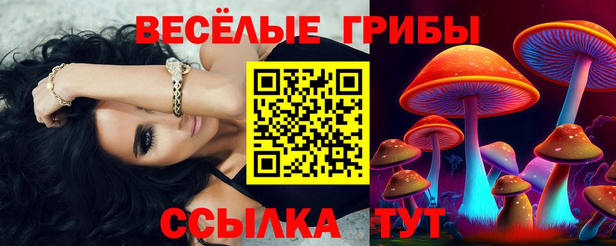 Галлюциногенные грибы MAGIC MUSHROOMS Осинники