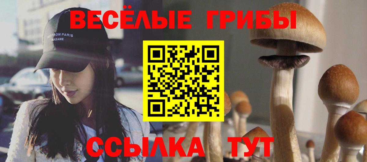 Галлюциногенные грибы MAGIC MUSHROOMS  Вход с VPN  Псилоцибиновые грибы Psilocybine cubensis  Осинники 